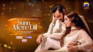 Sunn Mere Dil Ep 14