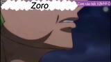 Zoro đầu tảo Ngầu