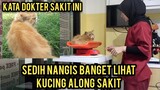 Astagfirullah Sedih Banget Kucing Along Sakit Dan Di Priksa Ke Dokter. !