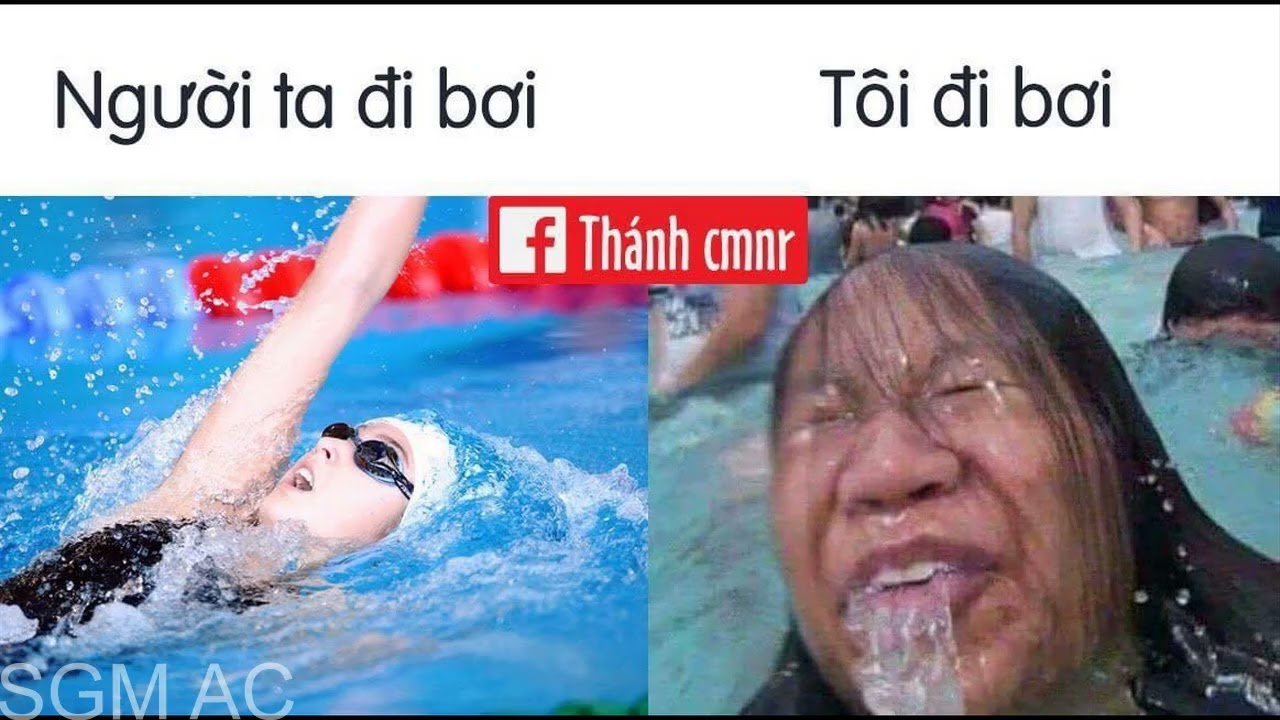 Khi những chú mèo meme được họa lại theo phong cách hoạt hình siêu cute  đốn tim từ ảnh đầu luôn