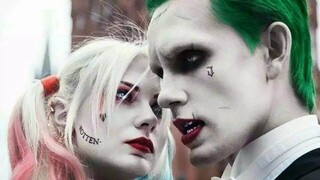 [Joker & Harley Quinn] Ai mà không ghen tị với tình yêu bất diệt như vậy?
