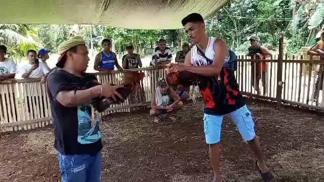 talo po tayo mga bosing midyo malas