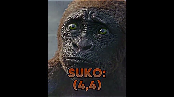 Suko vs Troll #troll2022 #godzillaxkongthenewempire #suko #vsbattle #vsedit #gxk #kaijubattle #kaiju