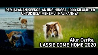 PERJALANAN PANJANG SE EKOR 4NJ1NG MENEMUI TUAN NYA - Alur Cerita LASSIE COME HOME 2020