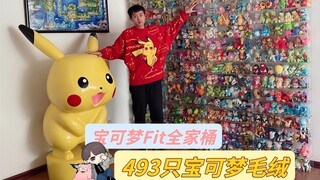 493只宝可梦毛绒！宝可梦Fit全家桶开箱！