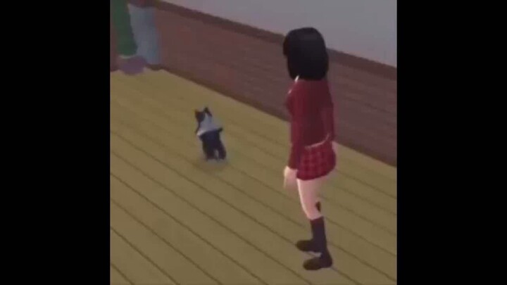 the sims cat dancing to a cute music I made