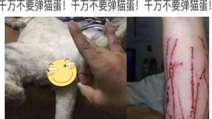 那些笑死人的搞笑图片Σ(ﾟдﾟ;)第八期