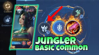 alice new build and emblem 2023 basic common jungler retribution