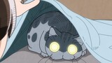[Final Chapter] Every night with Qiuqiu 60 The cat who comes to play as soon as the bed is made