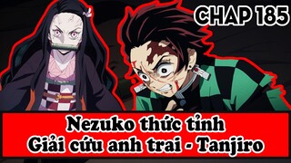 [Bình Luận Manga] Demon Slayer: Kimetsu No Yaiba chapter 185 | NEZUKO THỨC GIẤC