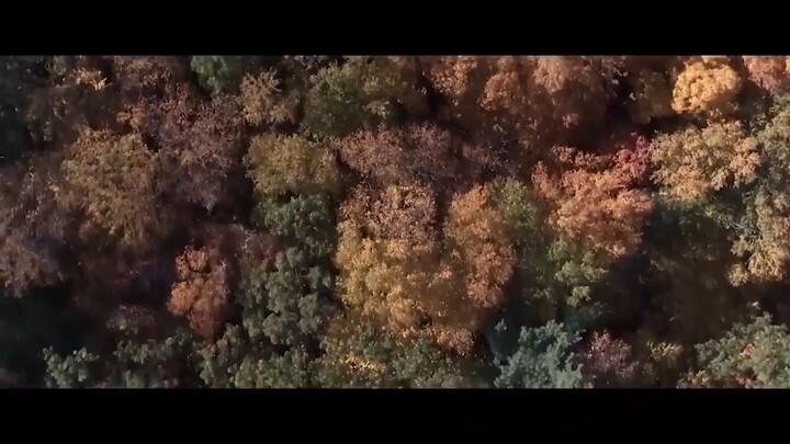 The Trees Have Eyes Dead Bounty_🎬_ Full exclusive _ Horror 🎥🍿