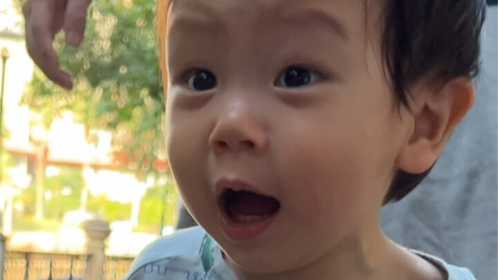 Qiu Peter has reached the age where he goes downstairs to pick up fallen leaves every day.