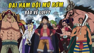 Trận chiến Luffy vs CP0 , Đại Hạm Đội Mũ Rơm đến Wano giải cứu Luffy - [ Thảo luận One Piece 1028+ ]