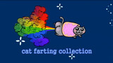 [Cats] Kitten Farting Compilation