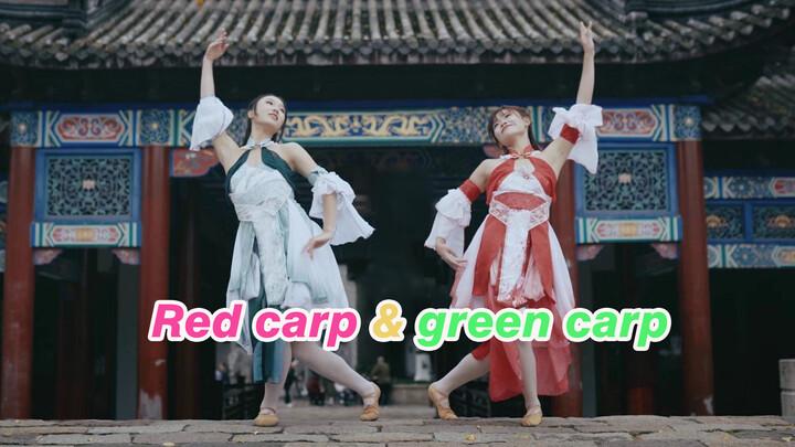 [Dance] Dua gadis menari dalam kostum kuno|<Jin Li Chao>