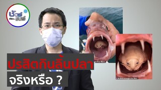 ชัวร์ก่อนแชร์ : พบปรสิตในลิ้นปลา เกาะดูดเลือดจนปลาตาย จริงหรือ ?