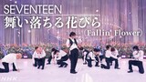 【SONGS】舞い落ちる花びら(Fallin' Flower)/ SEVENTEEN｜NHK
