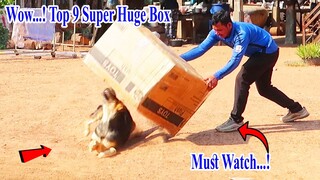 Wow...! Top 9 Super Huge Box vs Prank Sleep Dogs - Try to Stop Laugh Challenge 2021