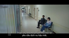 Cộng Sự Hoàn Hảo EP 12 [Sub Việt]