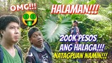 PINOY JUNGLE EXPLORER + THE MOST EXPENSIVE PLANT DURING PANDEMIC + FINDING NARRA TREE | Tenrou21