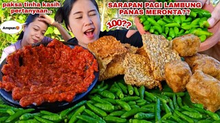 HAMPIR 100 CABE⁉️ MAKAN CABE RAWIT MENTAH GORENGAN TEMPE TAHU EKSTRA SAMBAL PEDAS MUKBANG