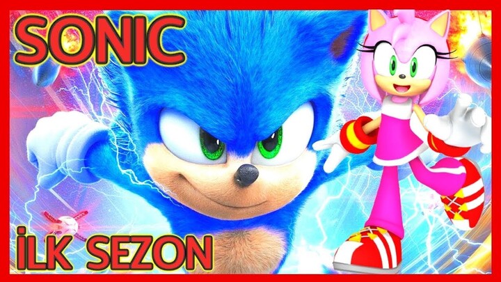 ROBLOX Brookhaven 🏡RP - FUNNY MOMENTS- So.nic Hedgehog Fa.inted...Girl Helps