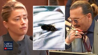 Amber Heard Blames Dogs For Pooping on Johnny Depp's Bed During Her Testimony