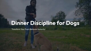 Dinner Discipline for Dogs   Transform Your Pup's Behavior Instantly!