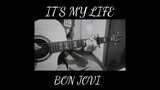 It's my life - Guitar Fingerstyle - Cover by Daniel Agodilla