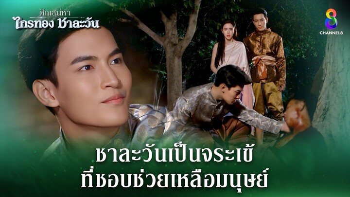 ชาละวันเป็นจระเข้ที่ชอบช่วยเหลือมนุษย์ | HIGHLIGHT ศึกเสน่หา ไกรทอง ชาละวัน EP.39 | ละครช่อง8