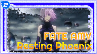 No One To Share Just How Absurd The World Is | Fate - Resting Phoenix_2