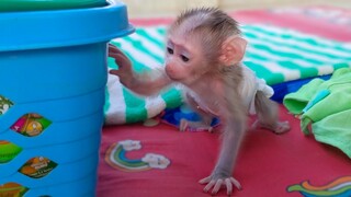 The Healthy Boy!! Tiny adorable Luca started to learn & play when he was alone