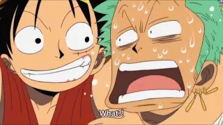 Luffy and Zoro Funny Moments in One Piece