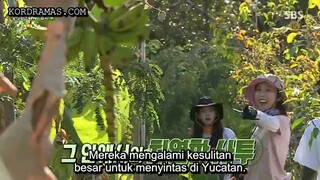 law of the jungle in Mexico eps 3