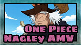 Kapten Sejati Memiliki Rasa Hormat Dari Krunya! | One Piece Nagley AMV