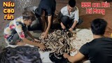 Trần Thạch Vlogs Về Team Đêm Khuya AE Tiếp Tục Nấu 999 Con Rắn Hổ Mang Phục Vụ Bà Con