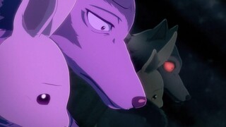 Beastars Legosi และ Haru「AMV」- If You Want Love