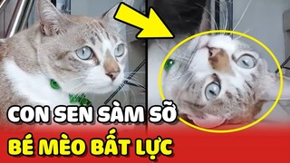 😂 Chị Mận Lực Điền BẤT LỰC vì ngày nào cũng bị con Sen SÀM SỞ | Yêu Lu