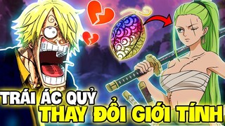 NHÌN XUYÊN THẤU?! | NHỮNG TRÁI ÁC QUỶ BIẾN THÁI TRONG ONE PIECE