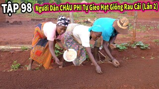 (Tập 98) Hùng KaKa Bị Kí Sinh Trùng Ăn Chân - Người Dân Tự Gieo Trồng Hạt Giống Rau Cải (Lần 2)