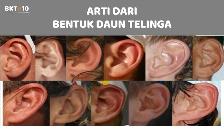 TELINGA MENENTUKAN KARAKTER DAN KEPRIBADIANMU | ARTI DAUN TELINGA