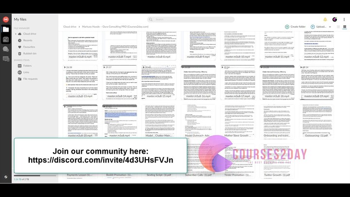 Markuss Hussle – Oura Consulting PRO Download