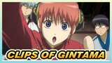 CLIPS OF GINTAMA