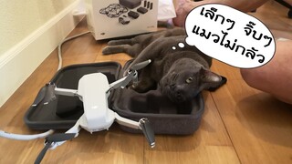 แมวและโดรน โดรนขนาดมินิเล็กกว่าแมว  Unbox Mavic Mini Drone with cat