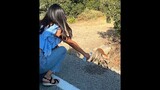 Animal Kindness at its Best