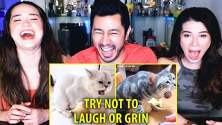 TRY NOT TO LAUGH OR GRIN WHILE WATCHING FUNNY ANIMALS #23 | Reaction | Jaby Koay, Alina & Achara