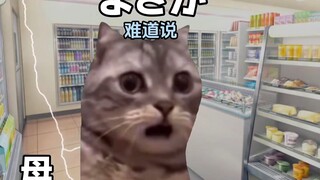 【熟/猫meme】名侦探猫妈妈