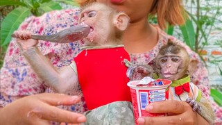 Tiny Toto & Yaya really love eating Yogurt happily & Yaya holding a spoon eating Yogurt by herself