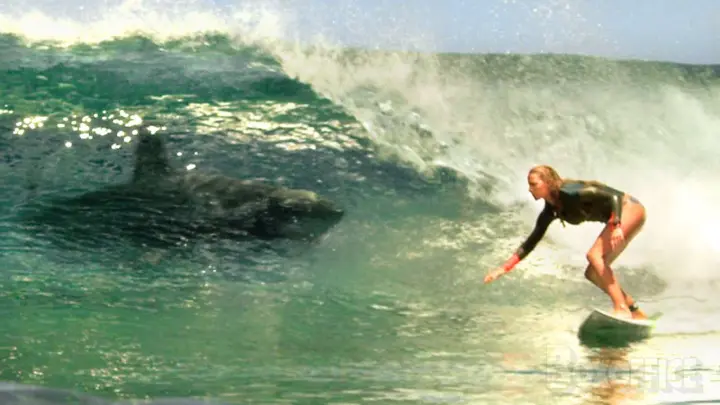 Shark attacks a surfer!