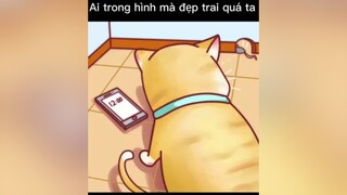 Mèo béo đập chai🐱 mèo cute foryou